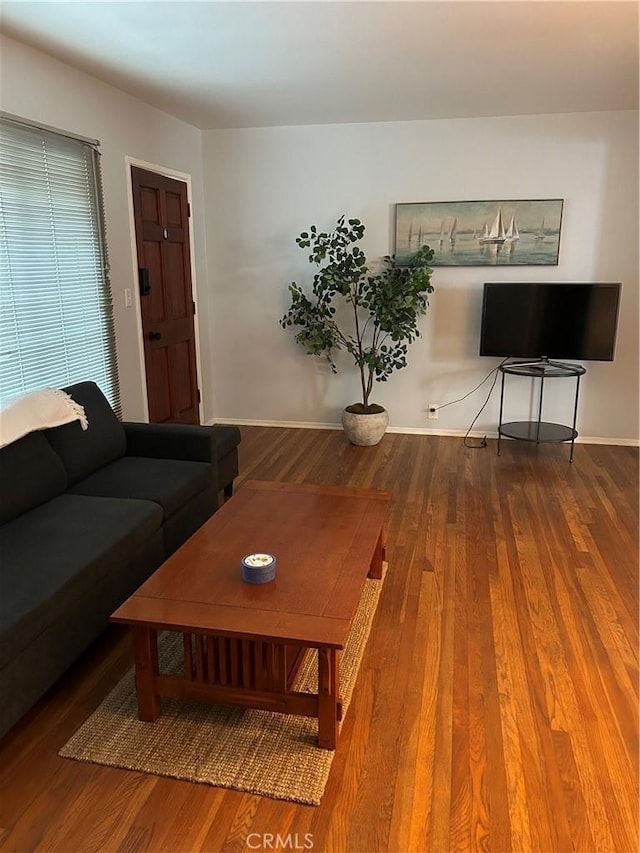 living room featuring wood-type flooring