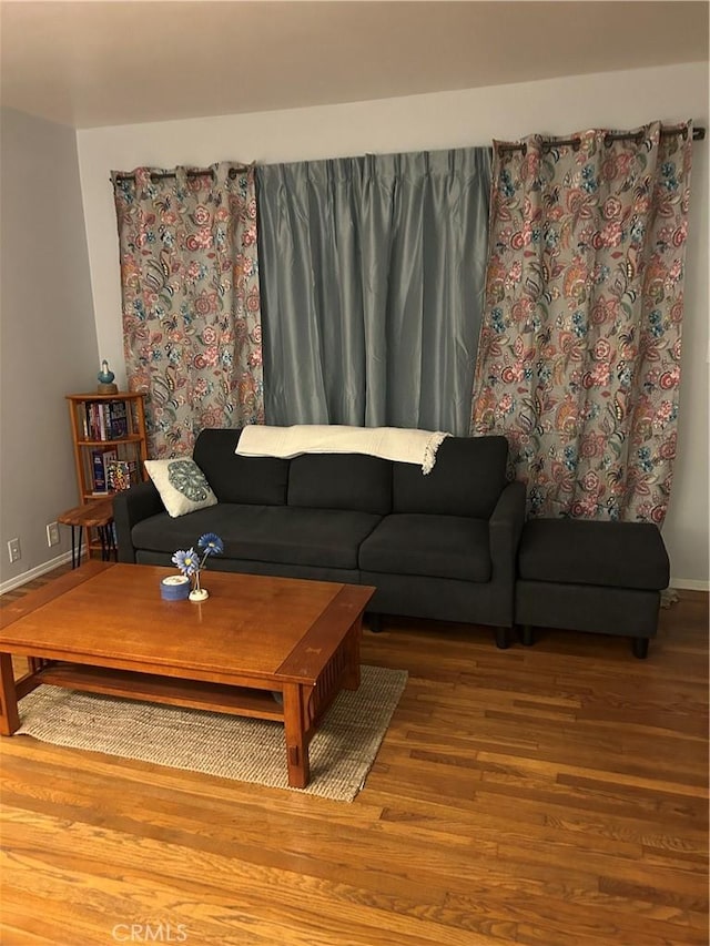 living room featuring hardwood / wood-style floors