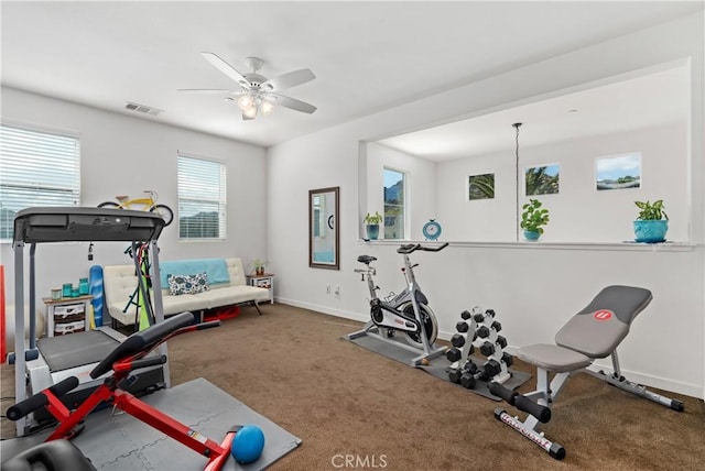 workout room with carpet flooring and ceiling fan