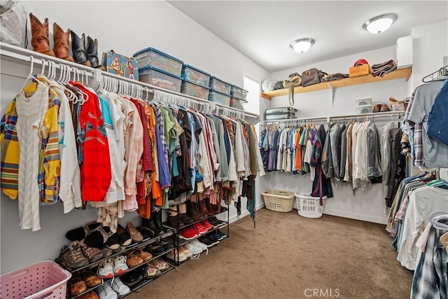 walk in closet featuring carpet floors