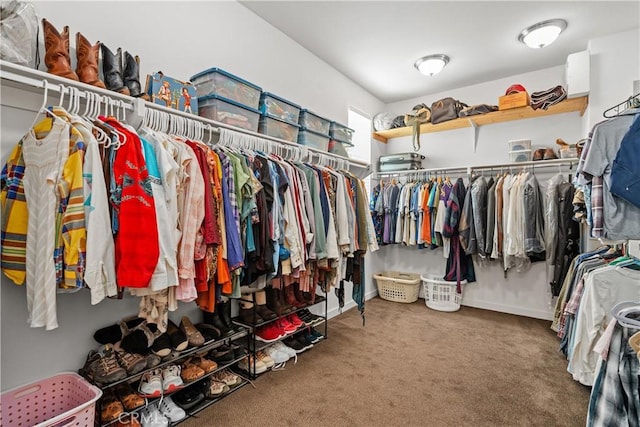 walk in closet with carpet