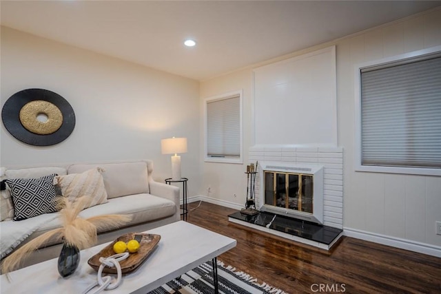 living room featuring dark wood-type flooring