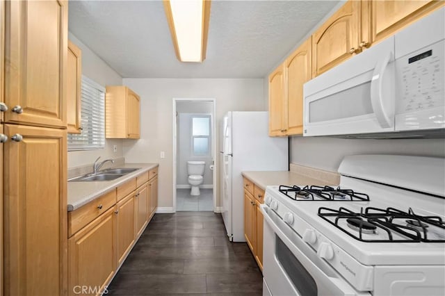 kitchen with sink, white appliances, dark hardwood / wood-style floors, and light brown cabinets