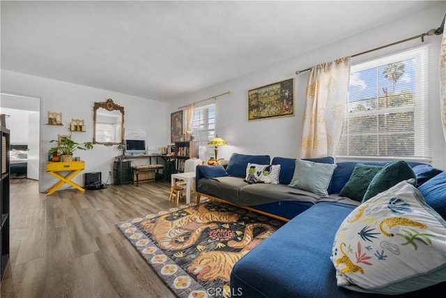 living room featuring hardwood / wood-style floors