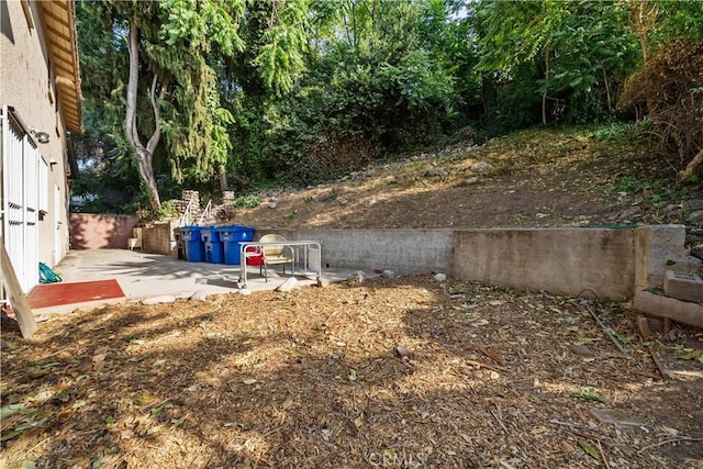 view of yard with a patio area