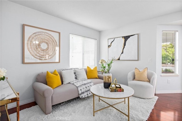 living room with wood-type flooring