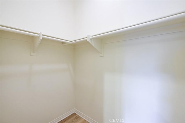 spacious closet featuring hardwood / wood-style flooring