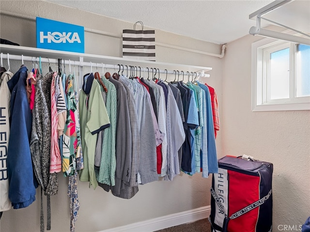 view of spacious closet