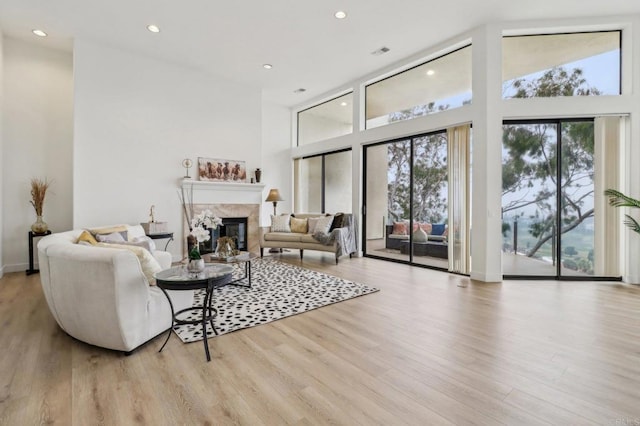 living room featuring light hardwood / wood-style floors and a high ceiling