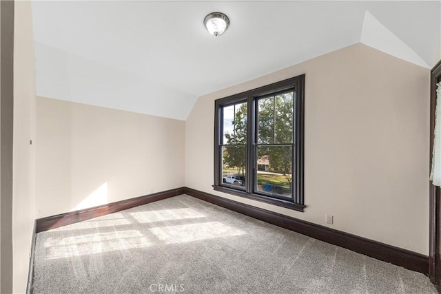 additional living space featuring vaulted ceiling and carpet