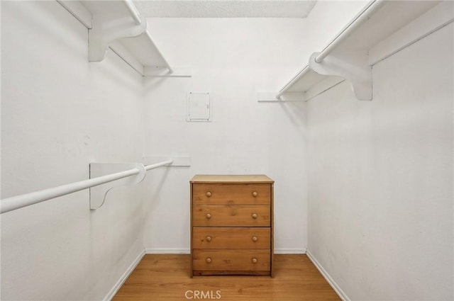 walk in closet with light wood-type flooring