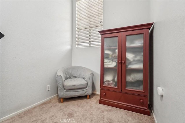 living area featuring light colored carpet