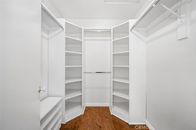 view of walk in closet