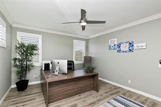 home office with ornamental molding, light hardwood / wood-style floors, and ceiling fan