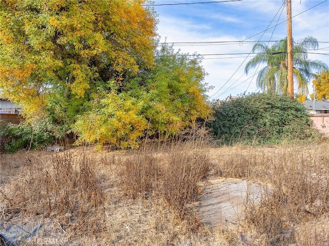 view of local wilderness