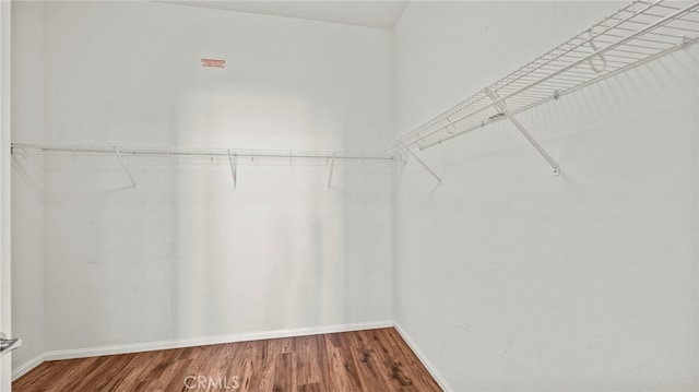 spacious closet with wood-type flooring