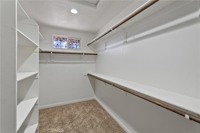 spacious closet featuring light carpet