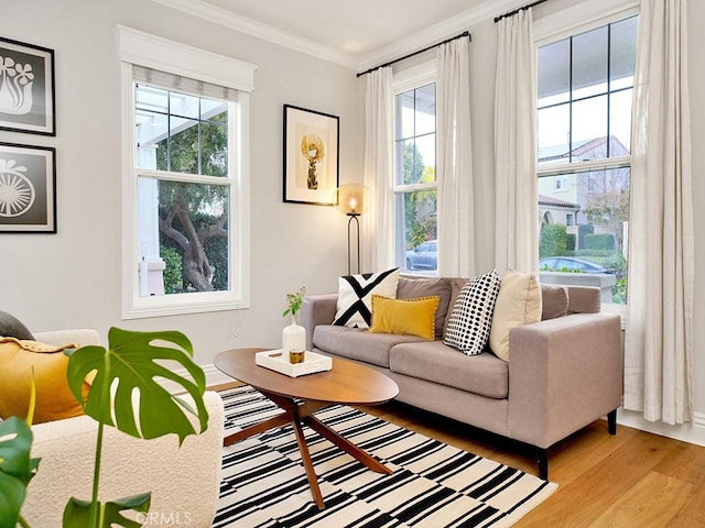 sitting room featuring crown molding and light hardwood / wood-style flooring