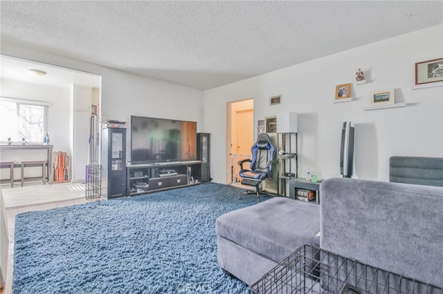 carpeted living room featuring a textured ceiling