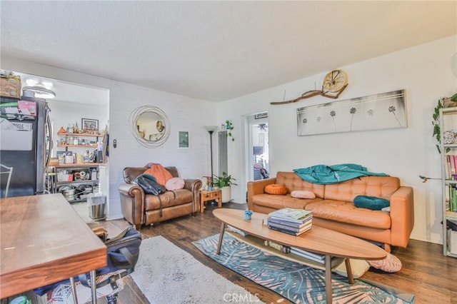 living room featuring dark hardwood / wood-style flooring