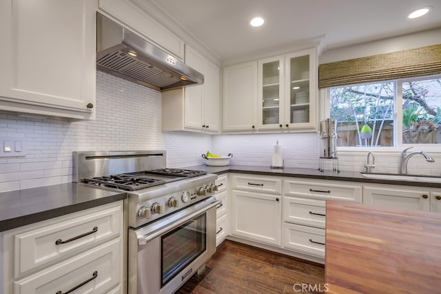 kitchen featuring sink, white cabinetry, tasteful backsplash, ventilation hood, and high end stove