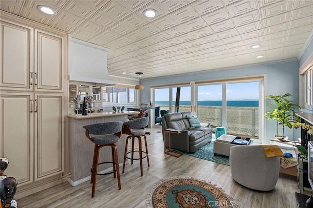 living room featuring light hardwood / wood-style flooring, ornamental molding, and a water view