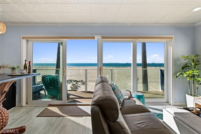 entryway with crown molding, a water view, a healthy amount of sunlight, and light wood-type flooring