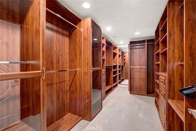walk in closet with light colored carpet