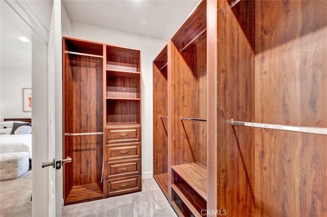 spacious closet with light carpet