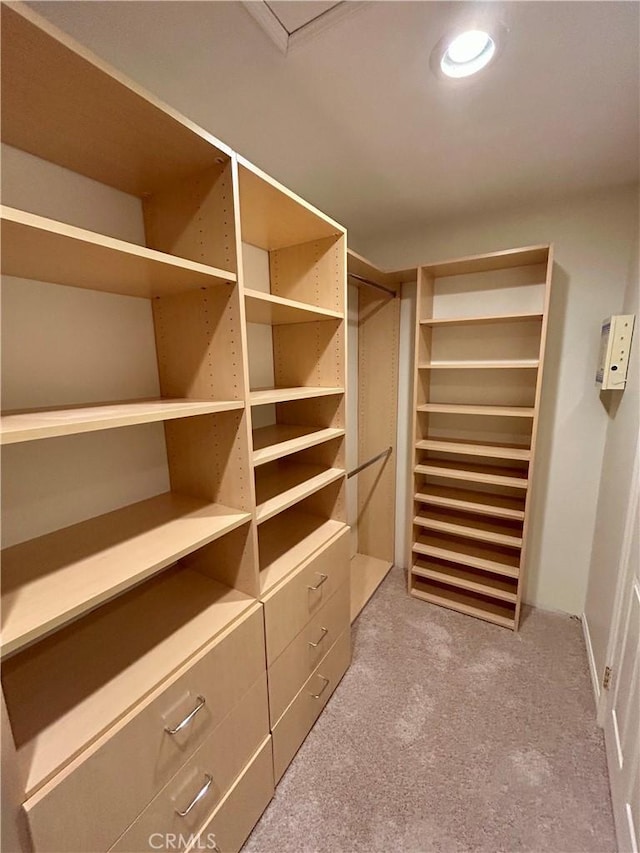 spacious closet featuring carpet floors