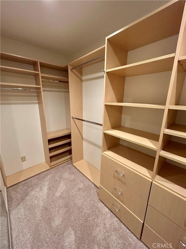 spacious closet featuring carpet floors