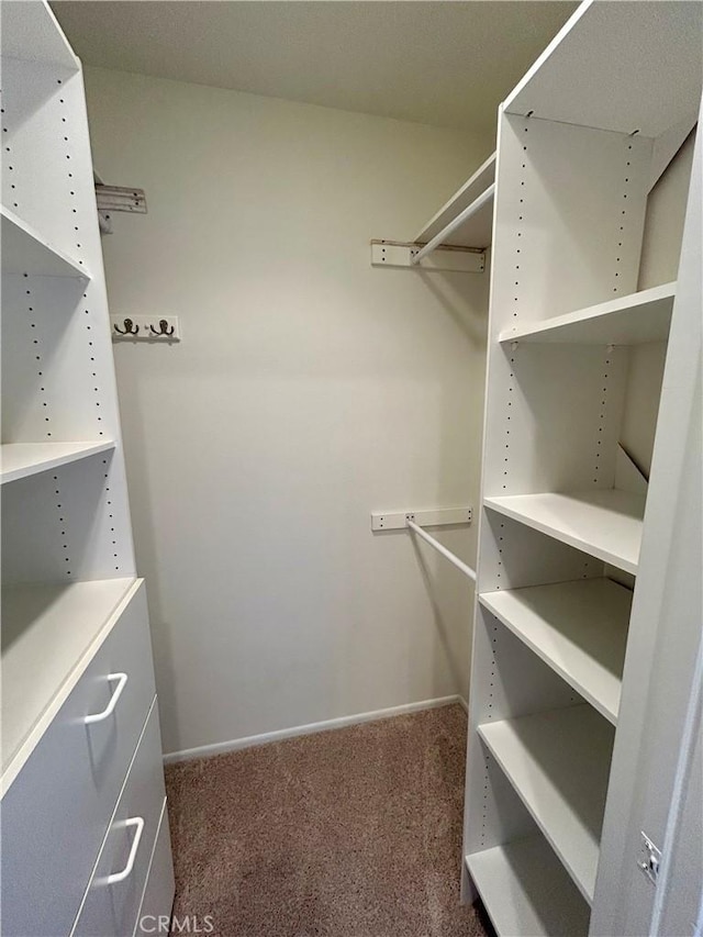 spacious closet with carpet