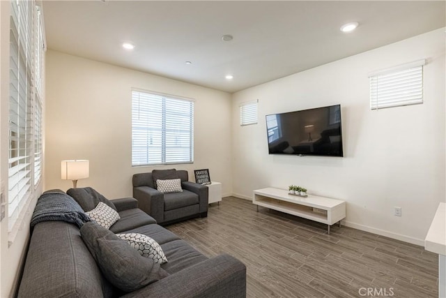 living room featuring wood-type flooring