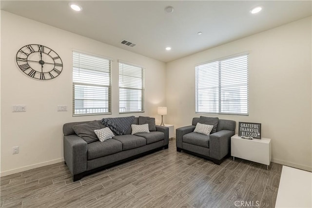 living room featuring hardwood / wood-style floors