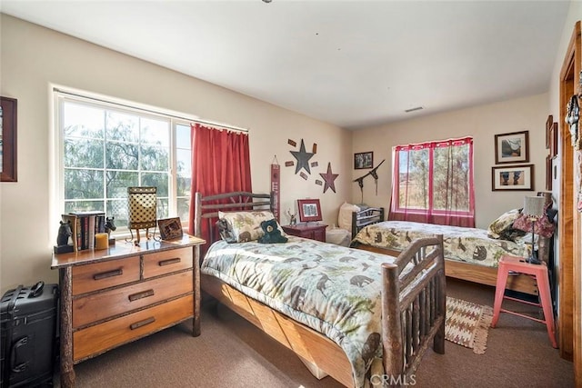 41700 Jojoba Hills Cir, Aguanga, CA 92536 - view of carpeted bedroom