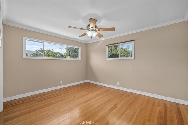 spare room with light hardwood / wood-style flooring, a wealth of natural light, ornamental molding, and ceiling fan