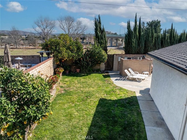 view of yard featuring a patio