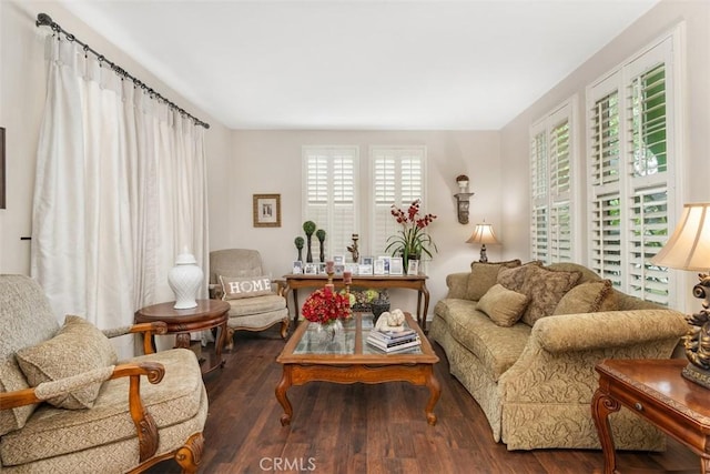 living room with dark wood-type flooring