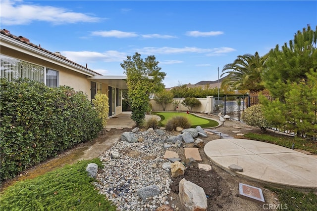 view of yard featuring a patio area