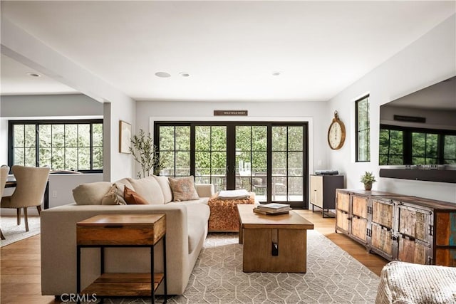 living room featuring a healthy amount of sunlight and light hardwood / wood-style floors