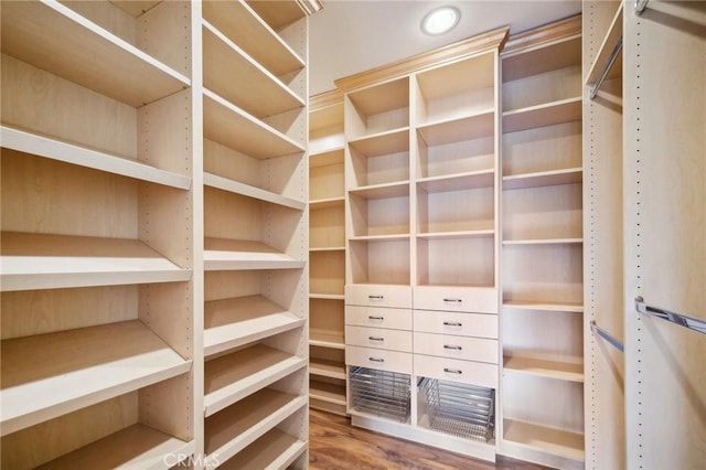 spacious closet featuring hardwood / wood-style flooring