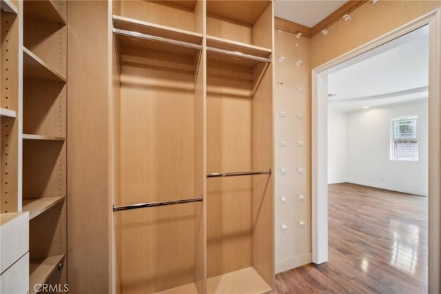 walk in closet with wood-type flooring