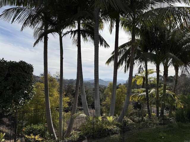 view of nature featuring a mountain view