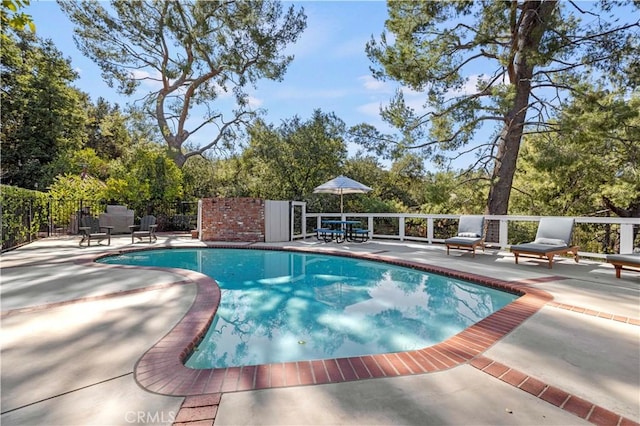 view of pool with a patio