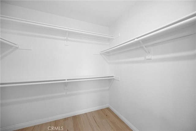 walk in closet featuring wood finished floors