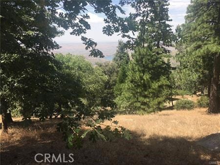 857 Mozumdar Dr, Cedarpines Park CA, 92322 land for sale