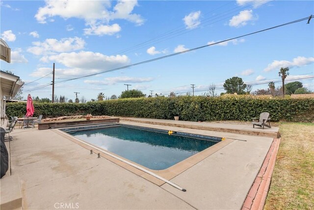 view of swimming pool with a patio