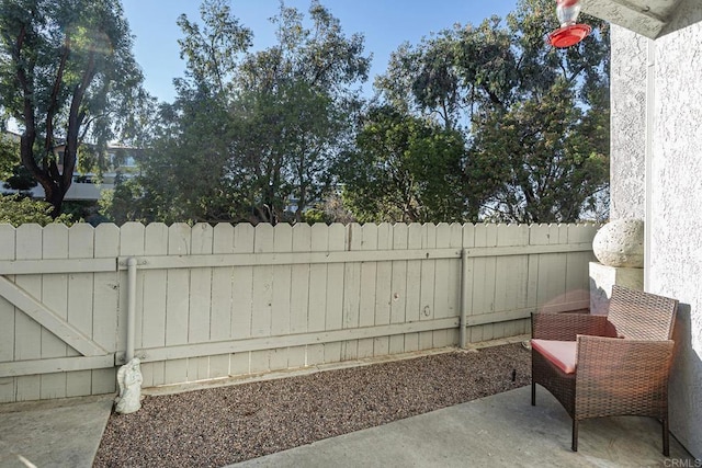 view of yard featuring a patio area