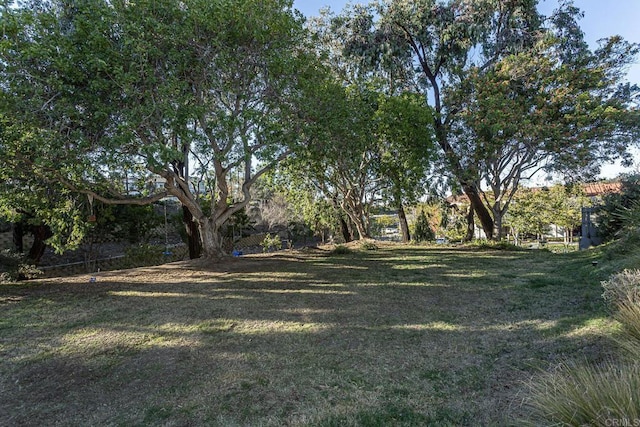 656 Westlake St, Encinitas, CA 92024 - view of green lawn