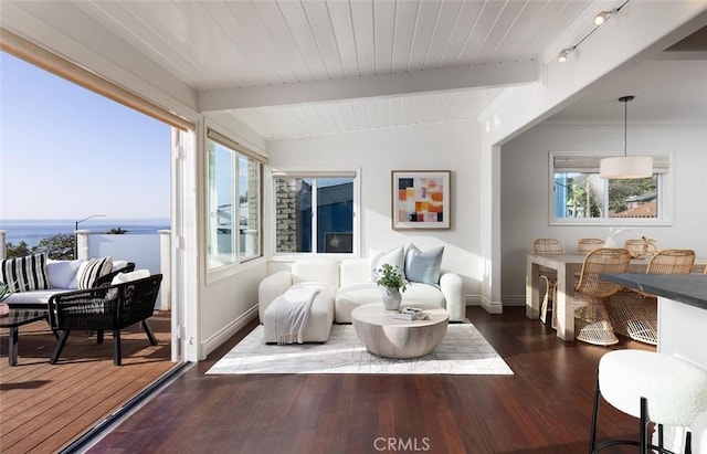 sitting room featuring a healthy amount of sunlight, beam ceiling, and dark hardwood / wood-style flooring